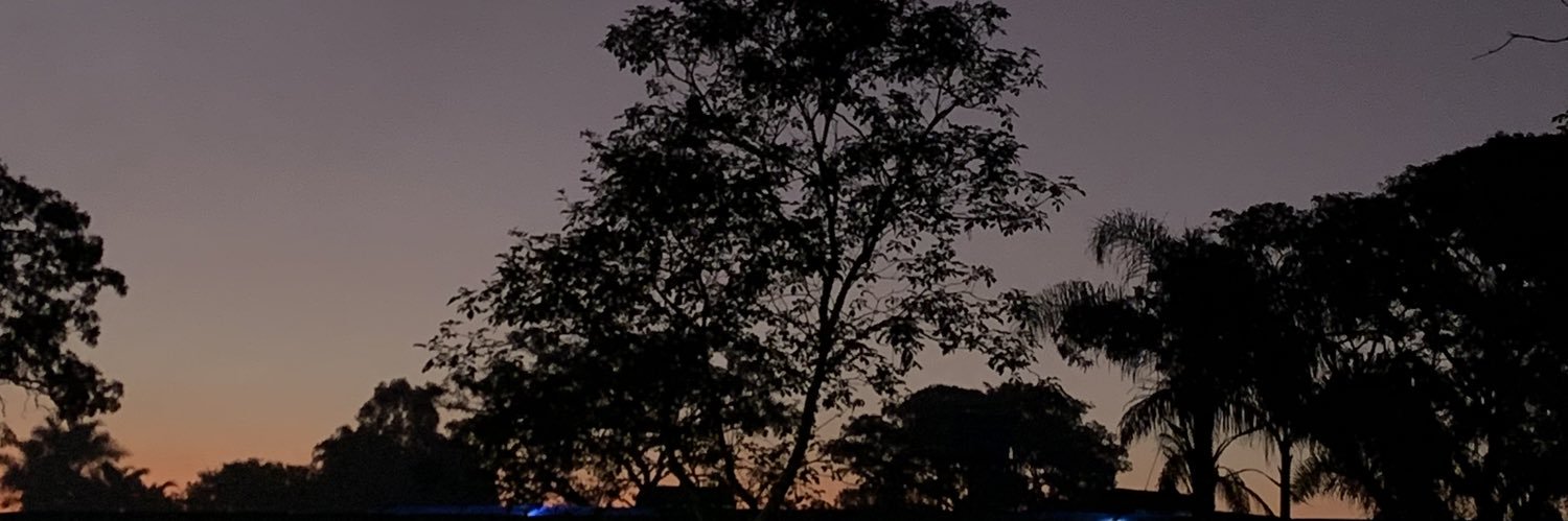 carolnunesp_'s profile banner image