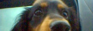 baconandbraces's profile banner image