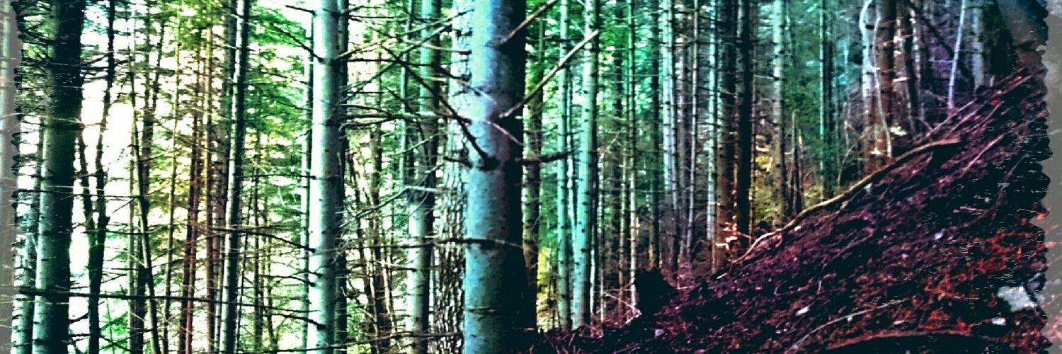 carfranlop's profile banner image