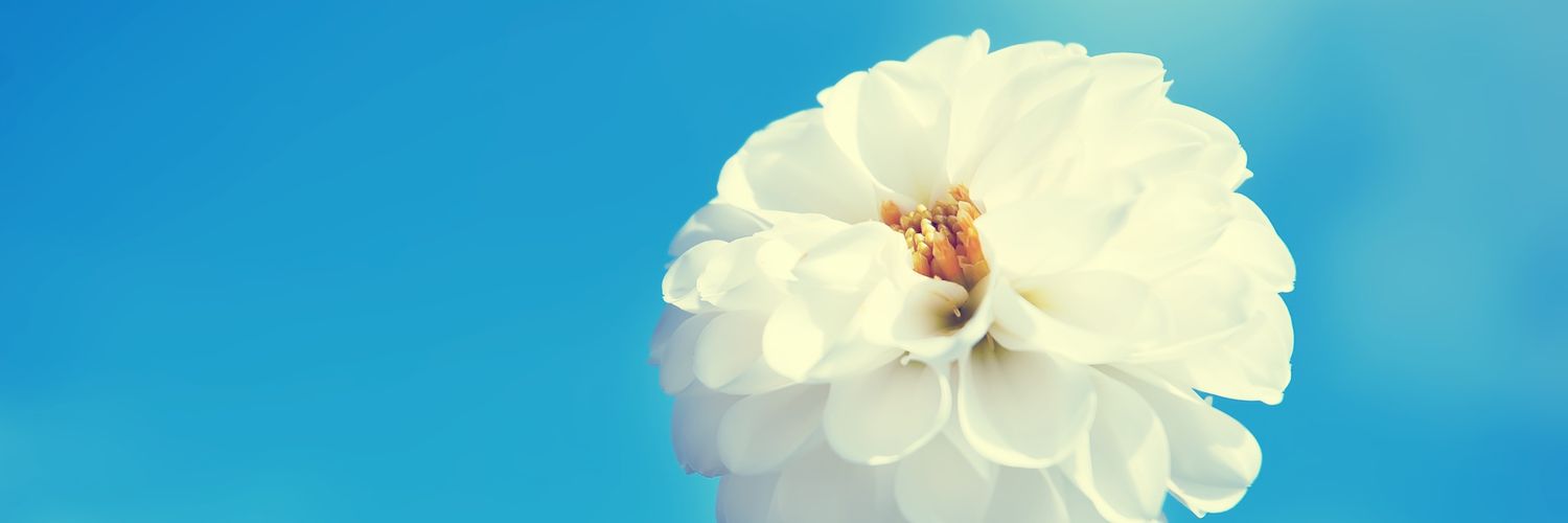 AliSoomro0334's profile banner image