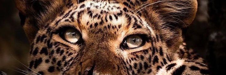ajbtrz's profile banner image