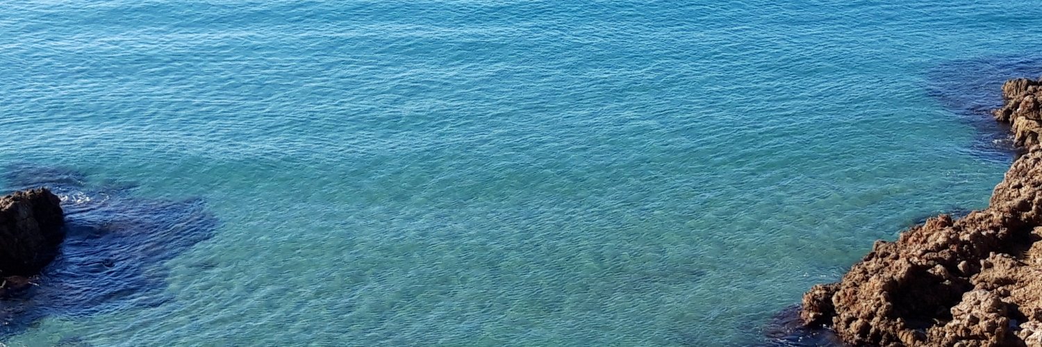 PlanaRoger's profile banner image