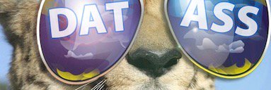 catgoats's profile banner image