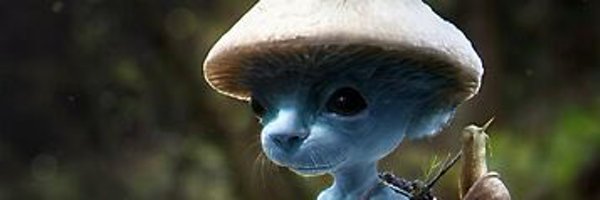 _h0se_ Profile Banner