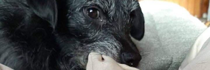 WalterRocha09's profile banner image