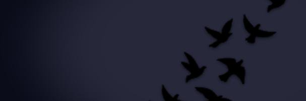 FanniaFerPer's profile banner image