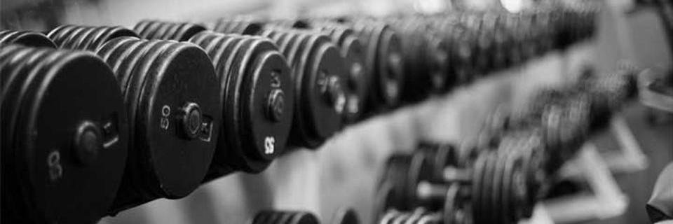 NatureBoyFit's profile banner image