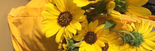 Marykaex3's profile banner image
