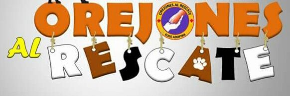 #OrejonesAlRescate banner