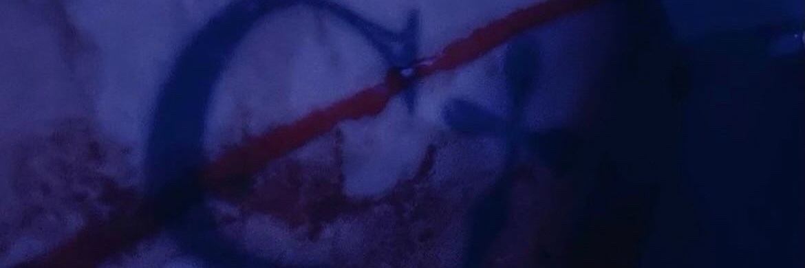 bugmaster7733's profile banner image