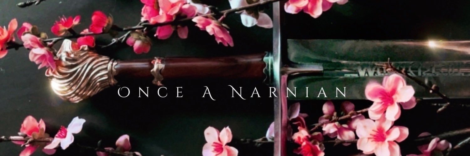 OnceANarnian's profile banner image