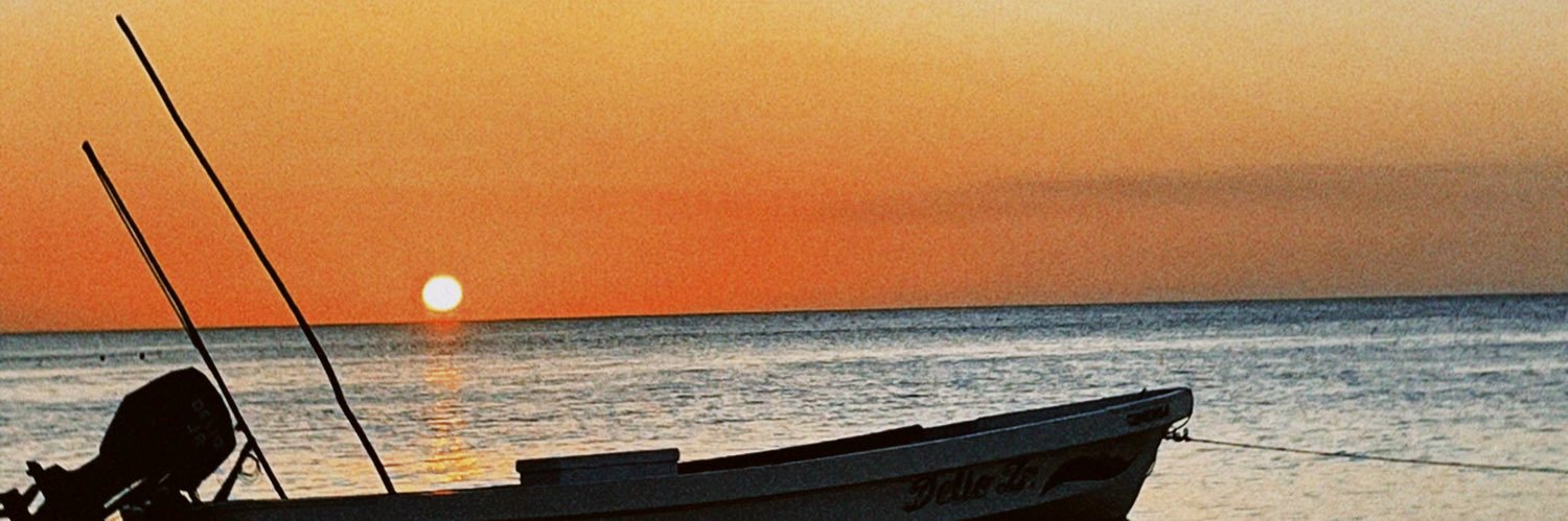 sofibuschiazzo_'s profile banner image