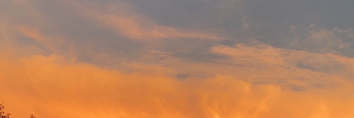 hay146's profile banner image