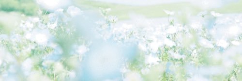 ns_____k's profile banner image