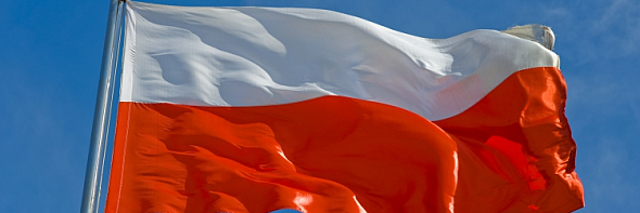 TWojtowicz's profile banner image