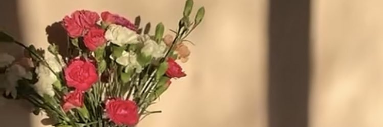 tu_foz's profile banner image