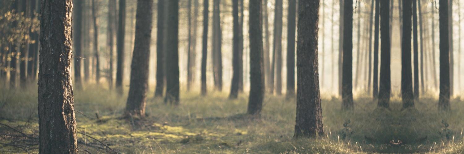 h0lynaight's profile banner image