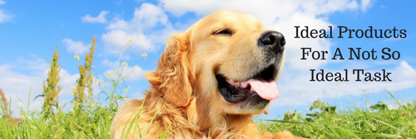 NomadPets's profile banner image