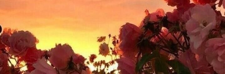 oksaniwkaa's profile banner image