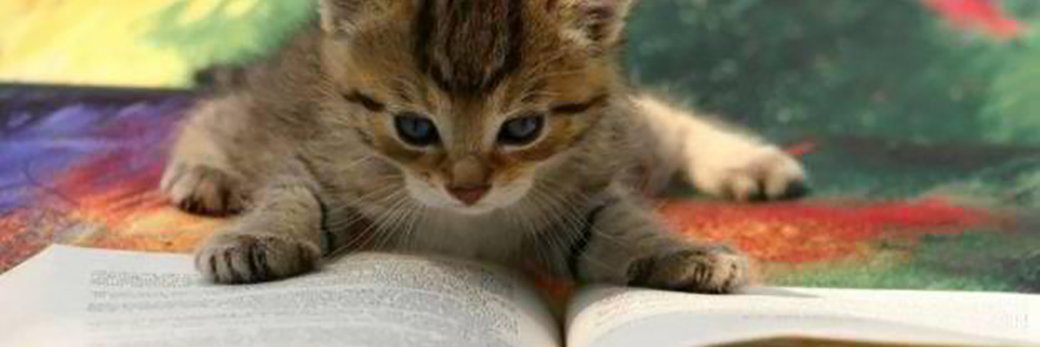 rachy bookworm 📚 banner