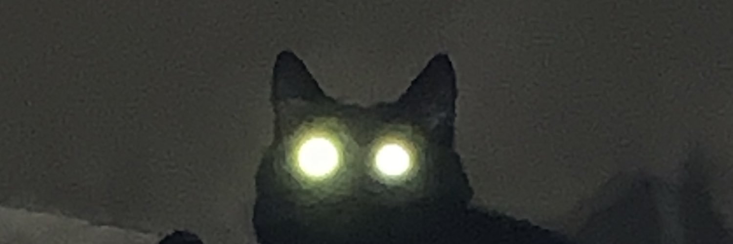 butchalert's profile banner image
