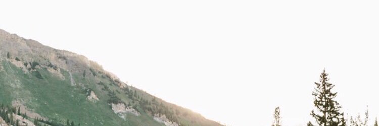 brooklin allen banner