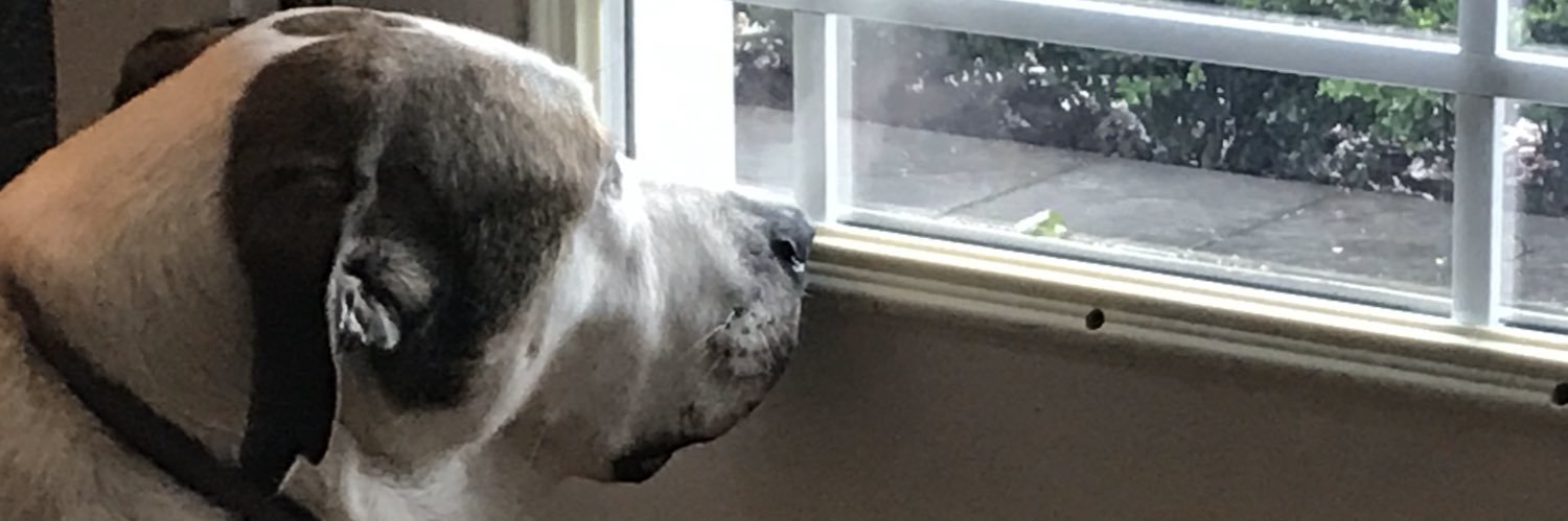 JenniferWatts4's profile banner image