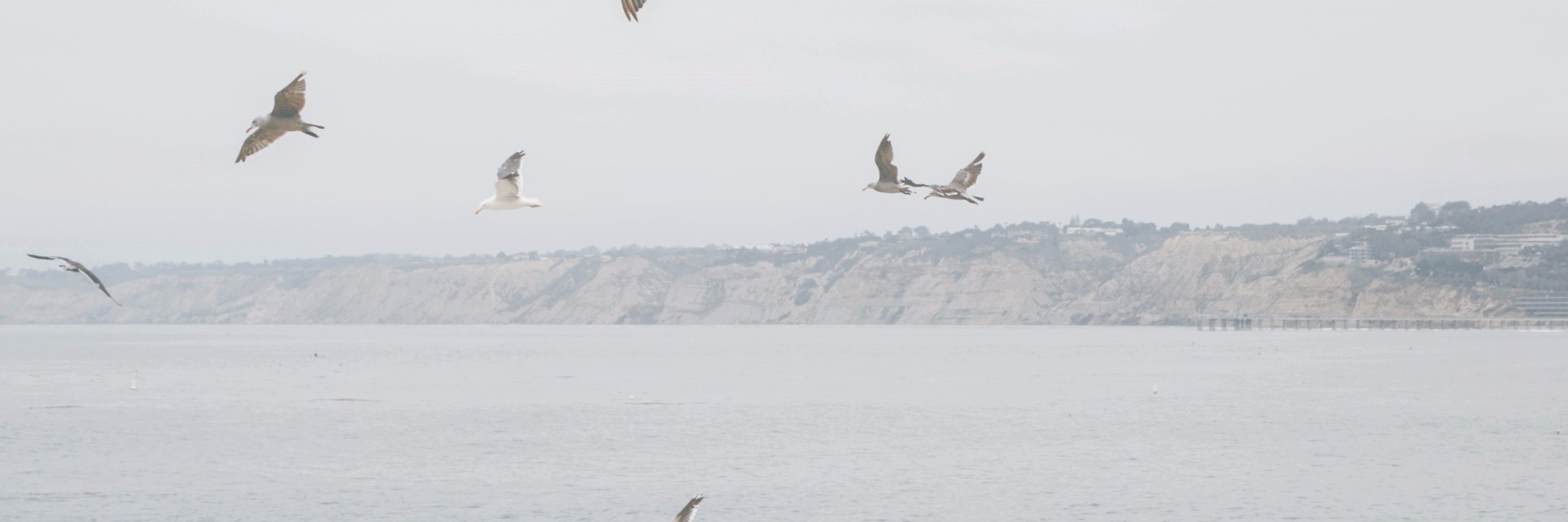 Diys_Music's profile banner image