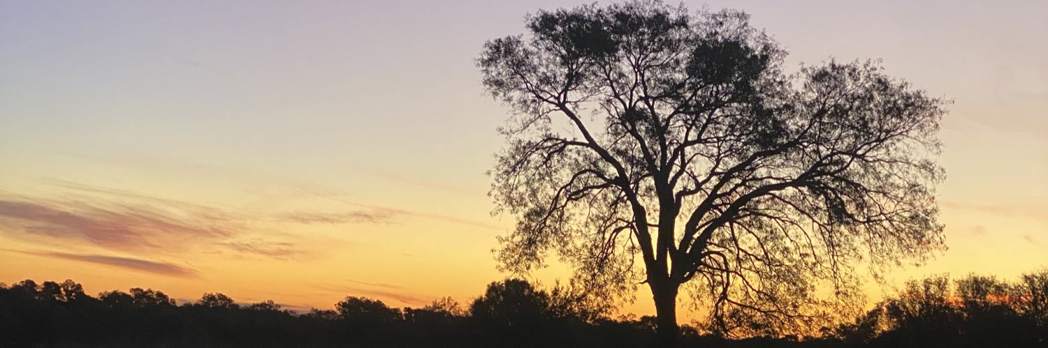 jikeller_'s profile banner image