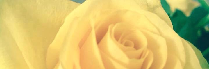 GWills22's profile banner image