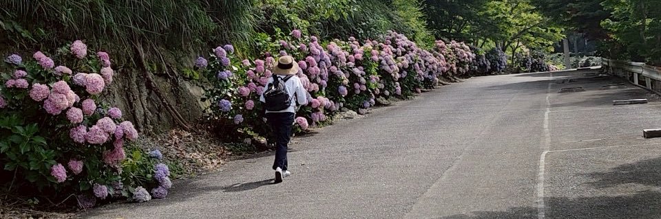 egu_0113's profile banner image