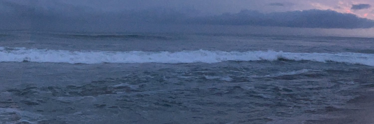elioaleman3's profile banner image