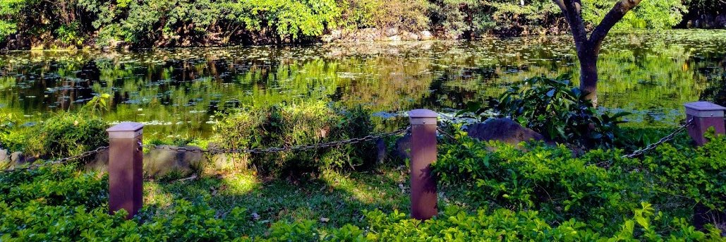 ꅐꋫ꒒ꀗꂑꁹꁍ🐻 banner