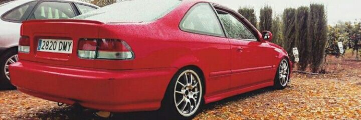 Sitogt's profile banner image