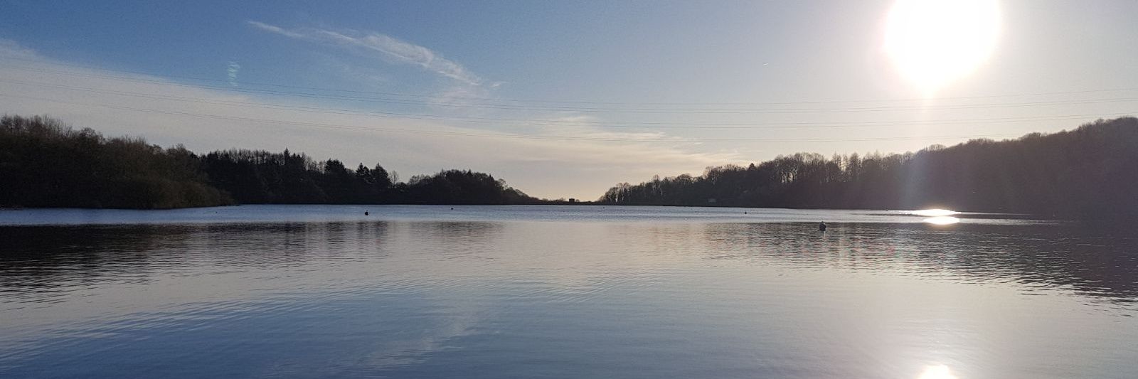 Zoe Taylor-Marshall banner