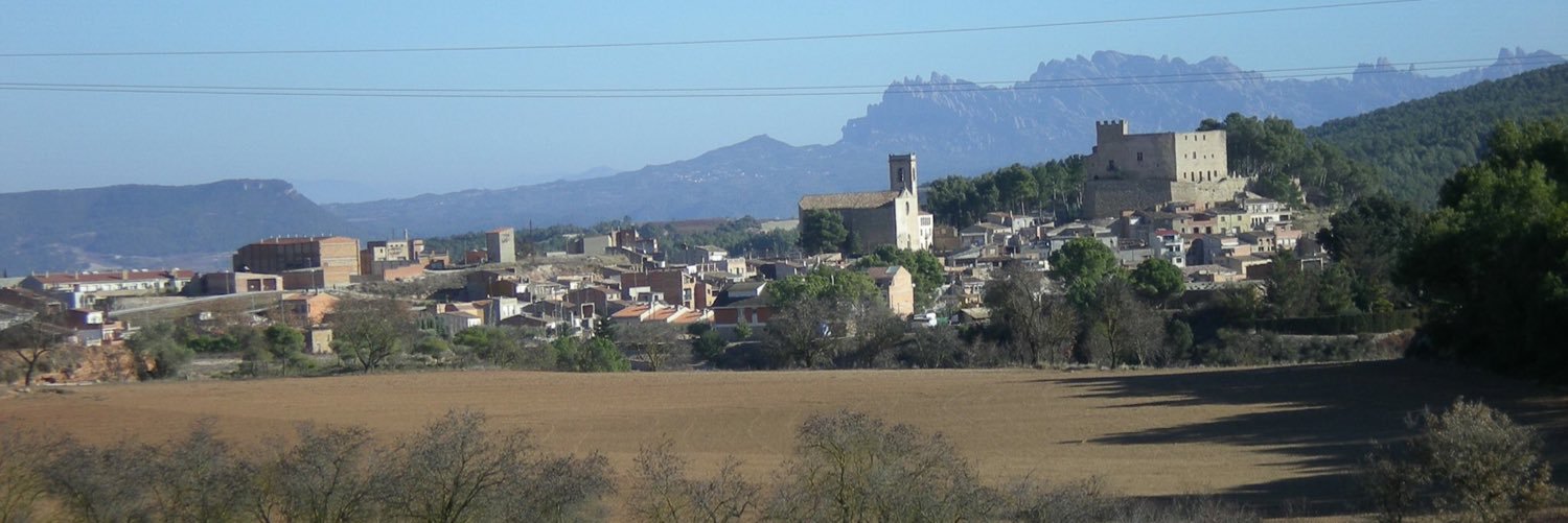 David Alquézar banner