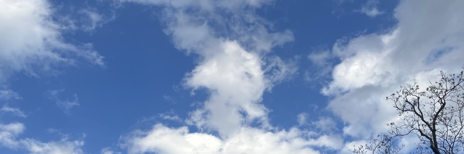 🌵🎮cashmere🎮🌵 banner