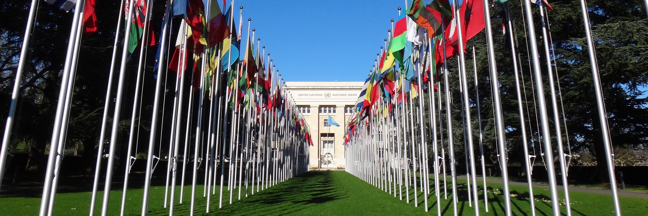 IntellectualProperty banner