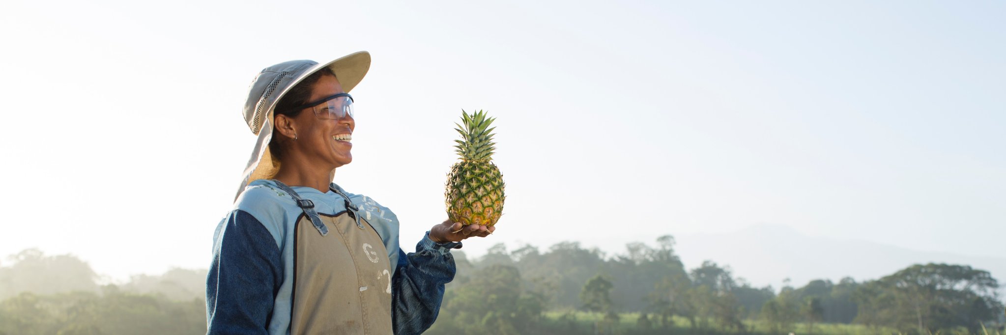 Dole Organic Program banner