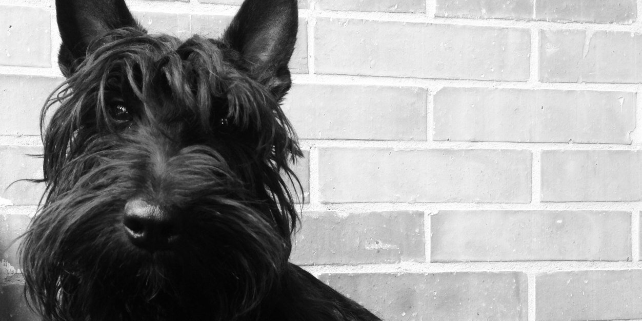 zero_jo's profile banner image