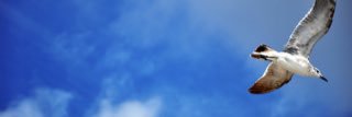 kirarinjam's profile banner image