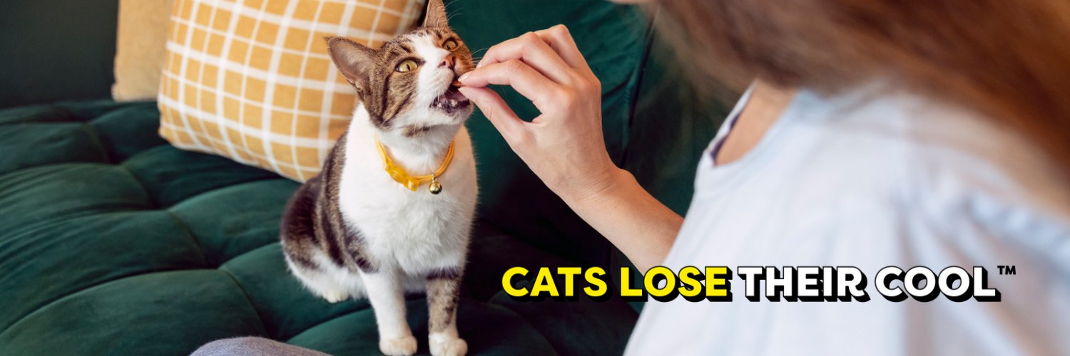 Temptations Cat Treats banner