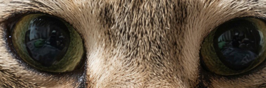Neveshtande's profile banner image