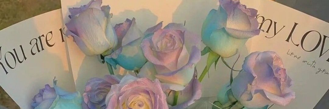 sinyoricee's profile banner image