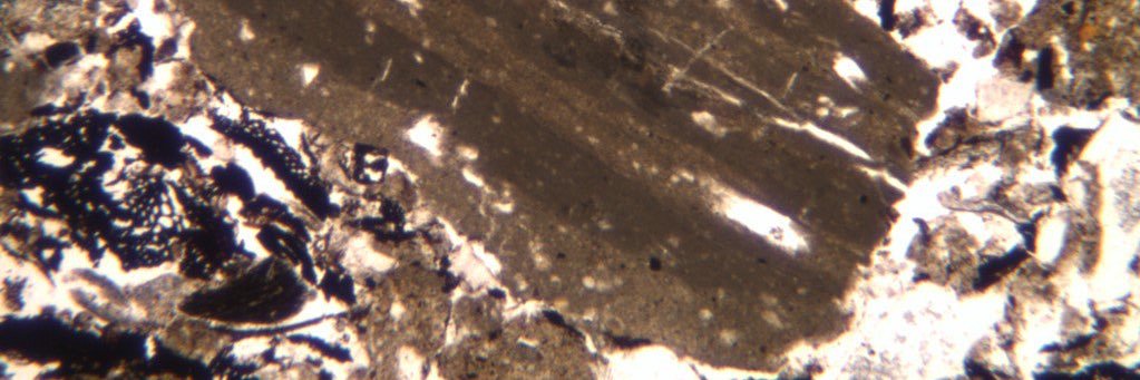 DIG: Developing International Geoarchaeology banner