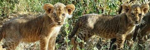 SamburuTourism's profile banner image