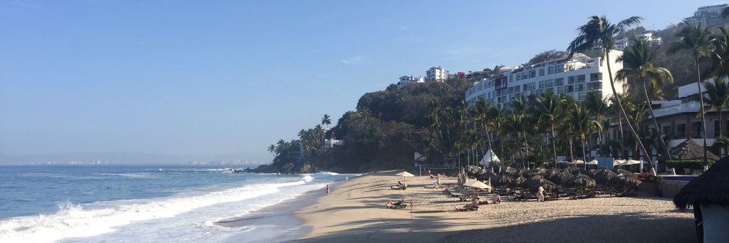 Melea Goldstein banner