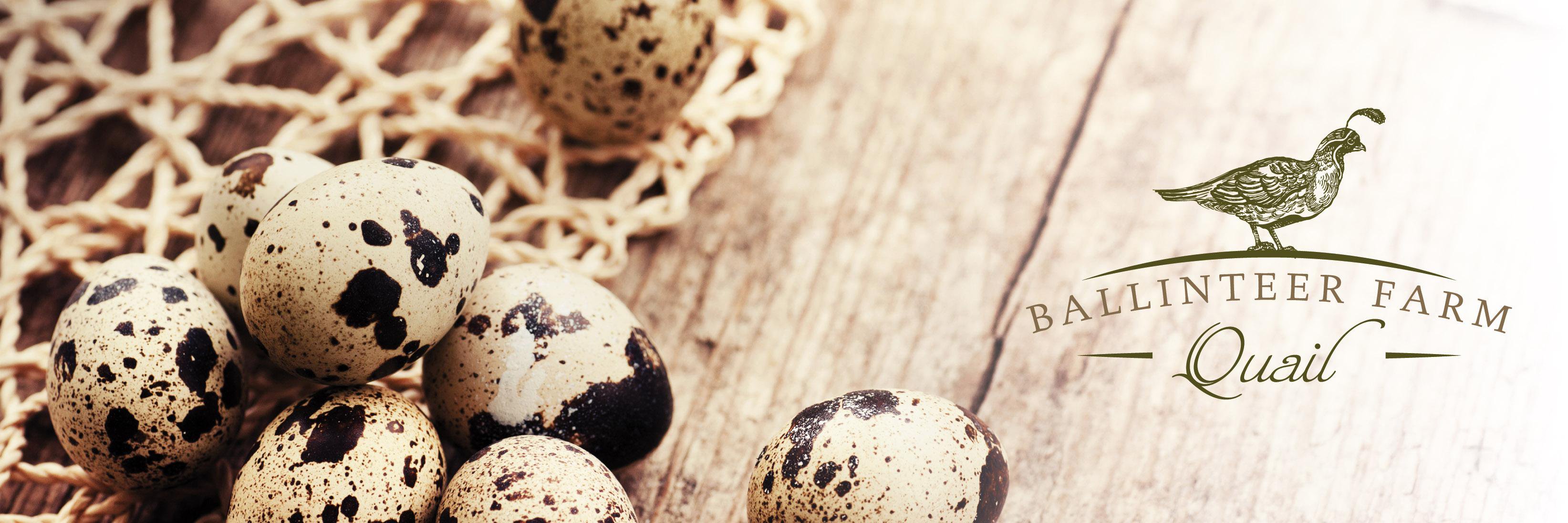 BallinteerFarm's profile banner image