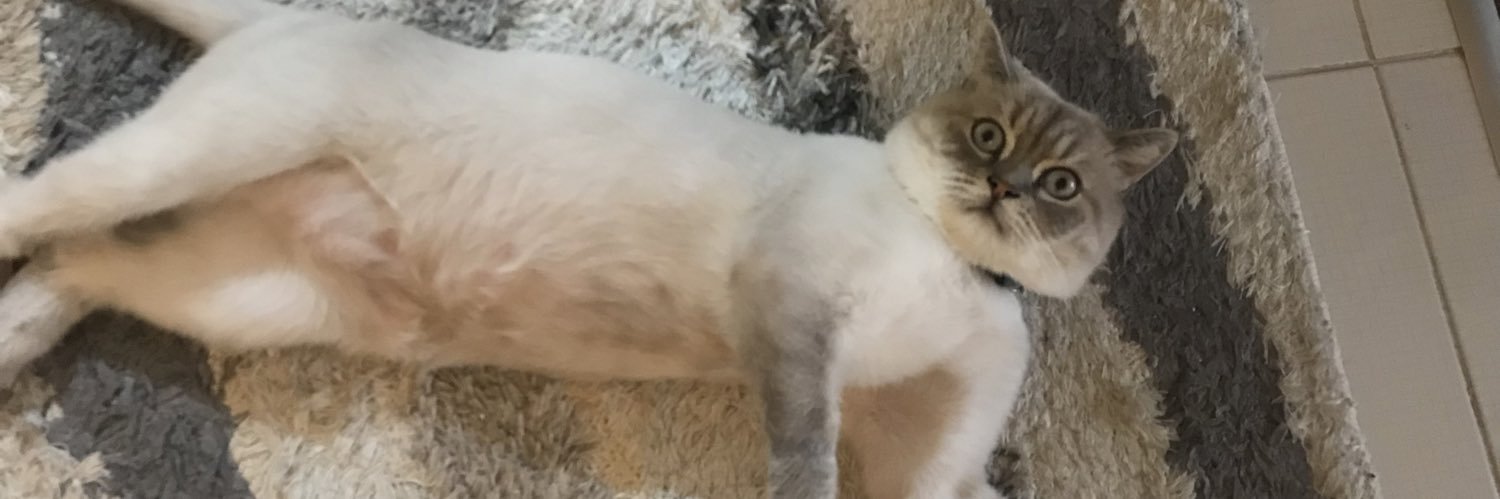 erenozger's profile banner image