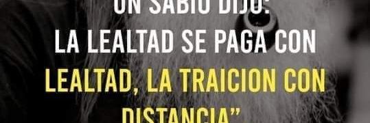 iris_marqui's profile banner image